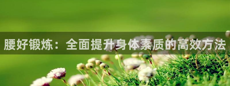 a8体育回放：腰好锻炼：全面提升身体素质的高效方法