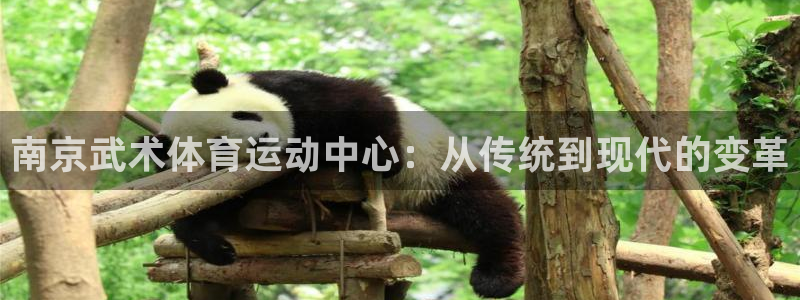 a8体育老版：南京武术体育运动中心：从传统到现代的变革