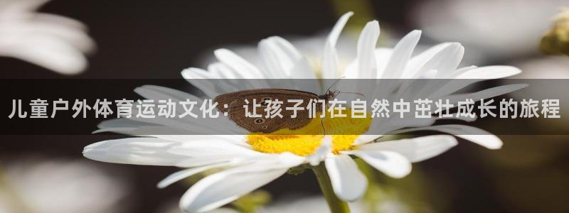 a8体育：儿童户外体育运动文化：让孩子们在自然中茁壮成长的旅程