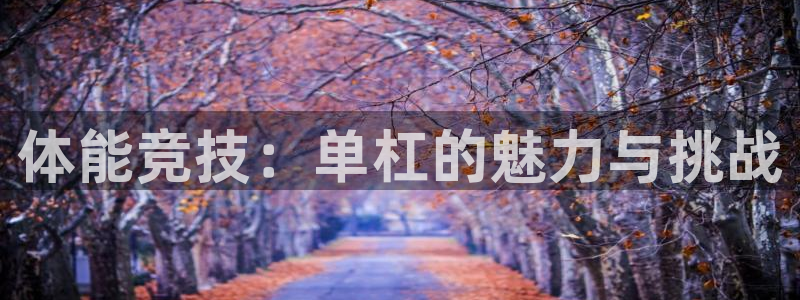 a8体育直：体能竞技：单杠的魅力与挑战